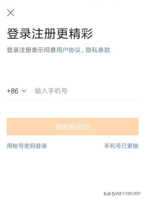 如何加入微博熊猫守护者熊猫怎样养成